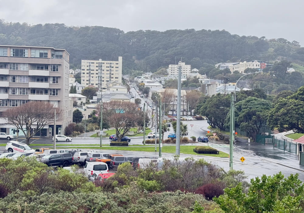 Wellington SH1