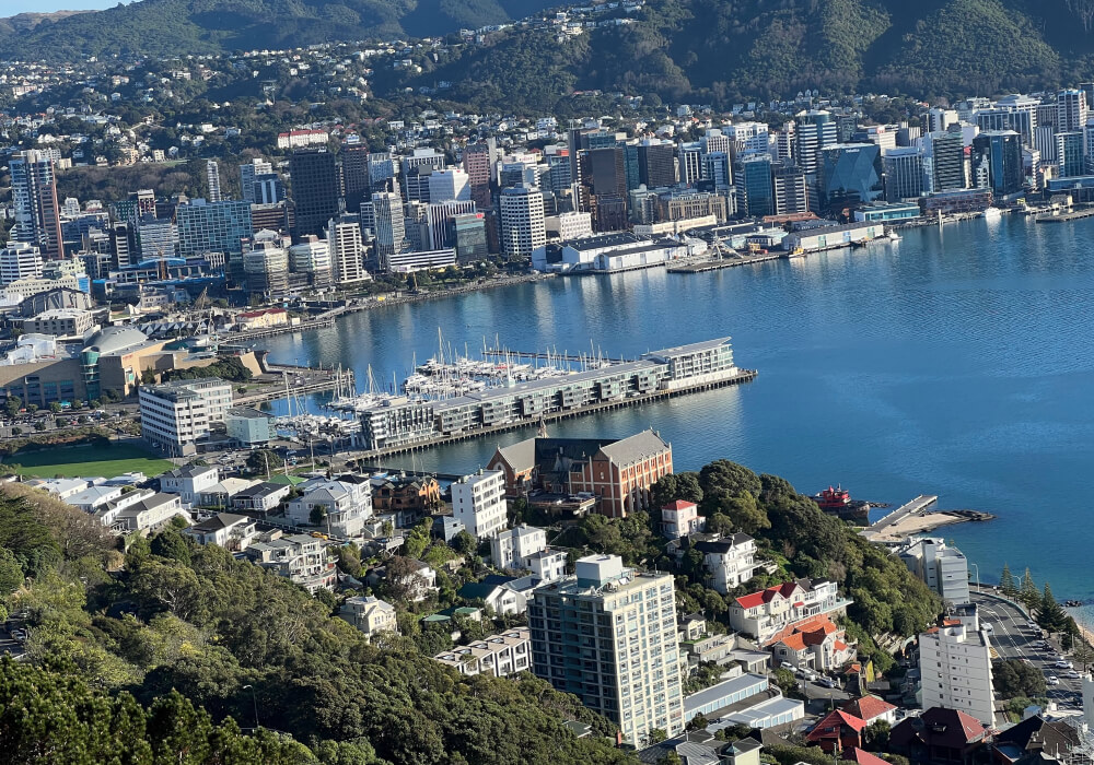 Wellington city